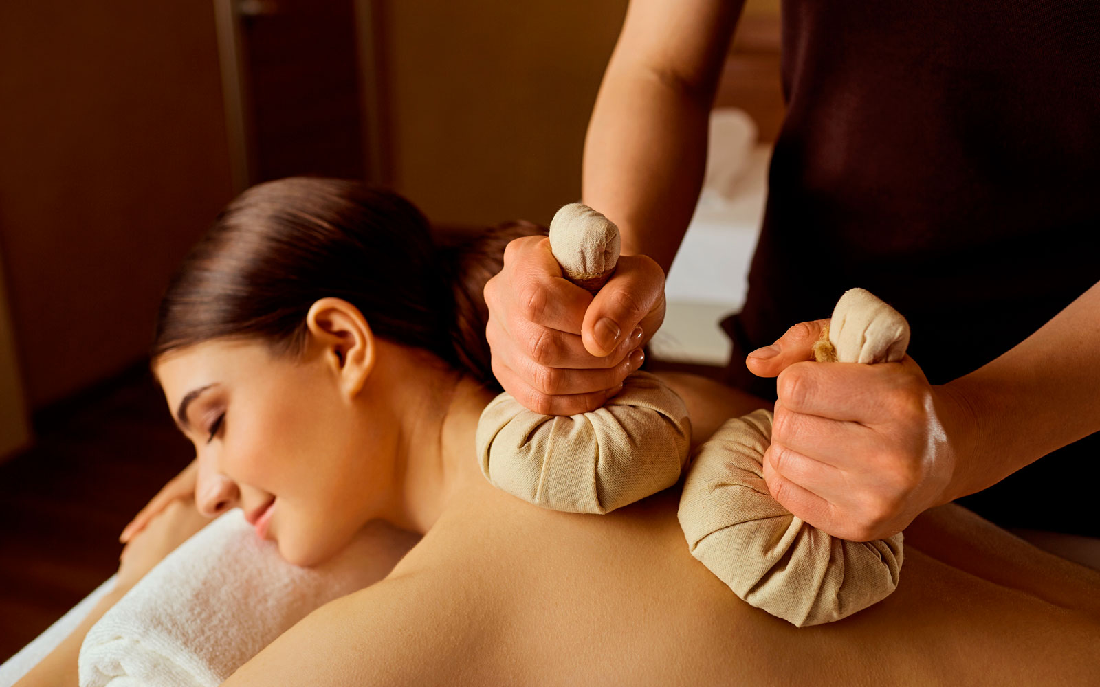 Ayurveda & Wellness Tour